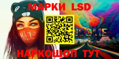 стаф Будённовск