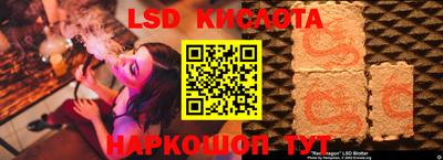 стаф Будённовск