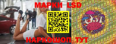 стаф Будённовск