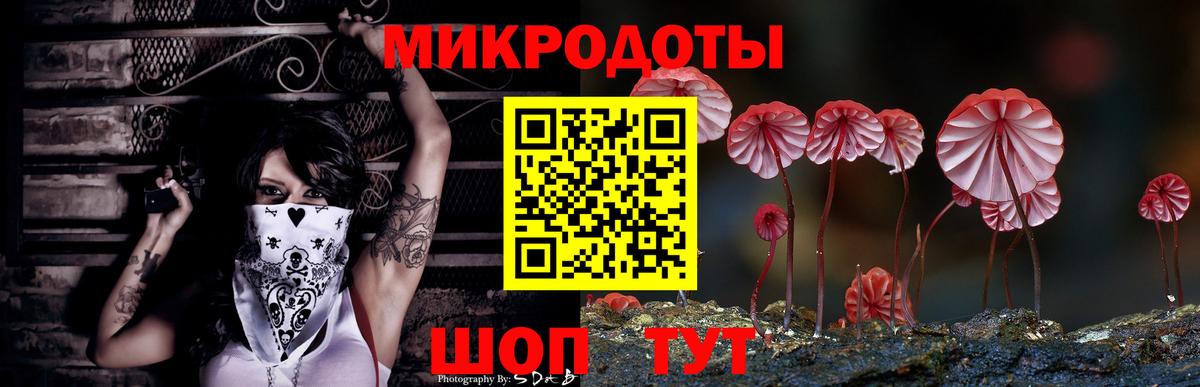 Псилоцибиновые грибы GOLDEN TEACHER Лобня
